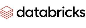 databricks-removebg-preview